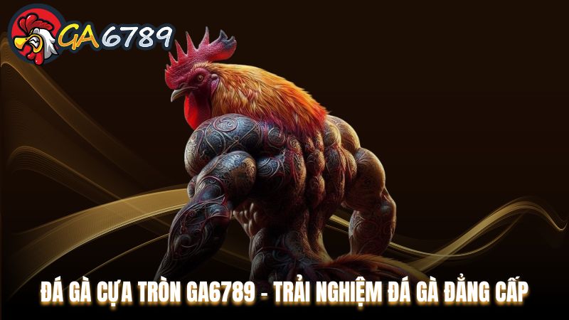 Đá gà cựa tròn Ga6789